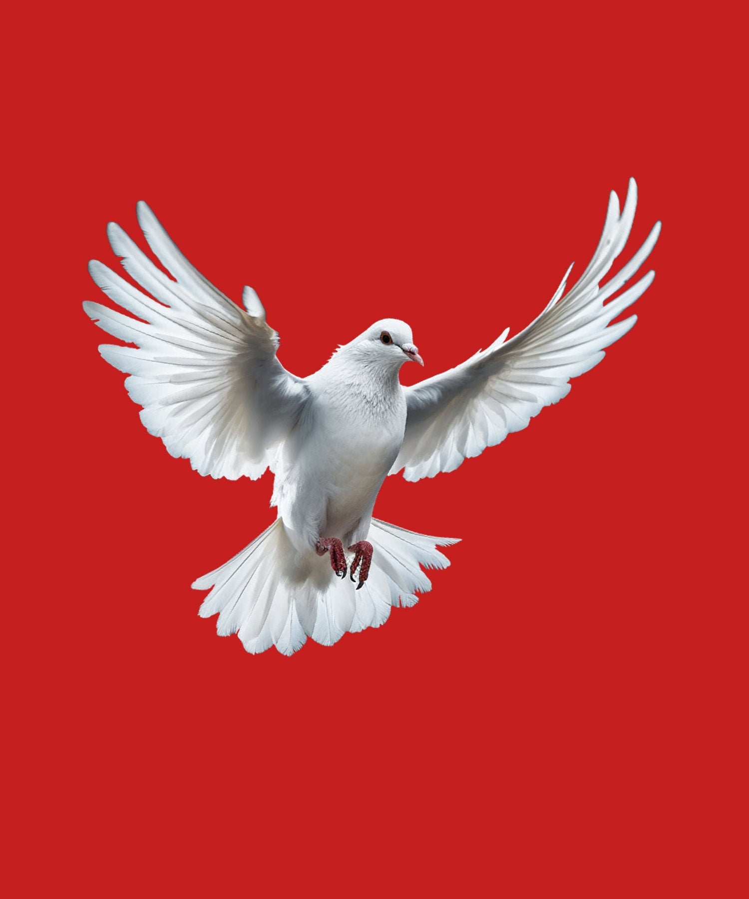 Red Half Sleeve Dove Love And Peace Printed Regular T-Shirt