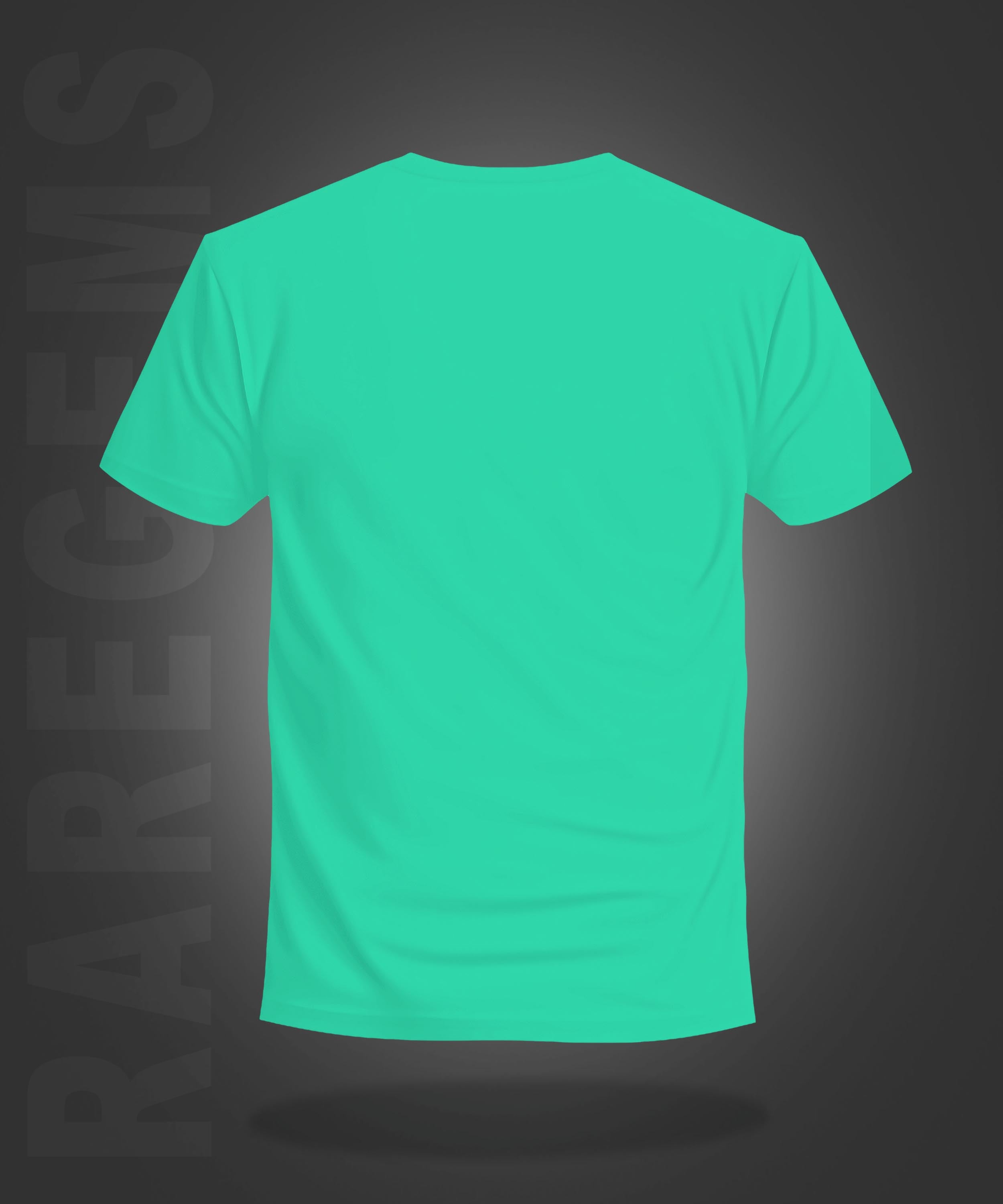 Mint Green Round Neck Half Sleeves Cheering Teddy Printed Regular T-Shirt