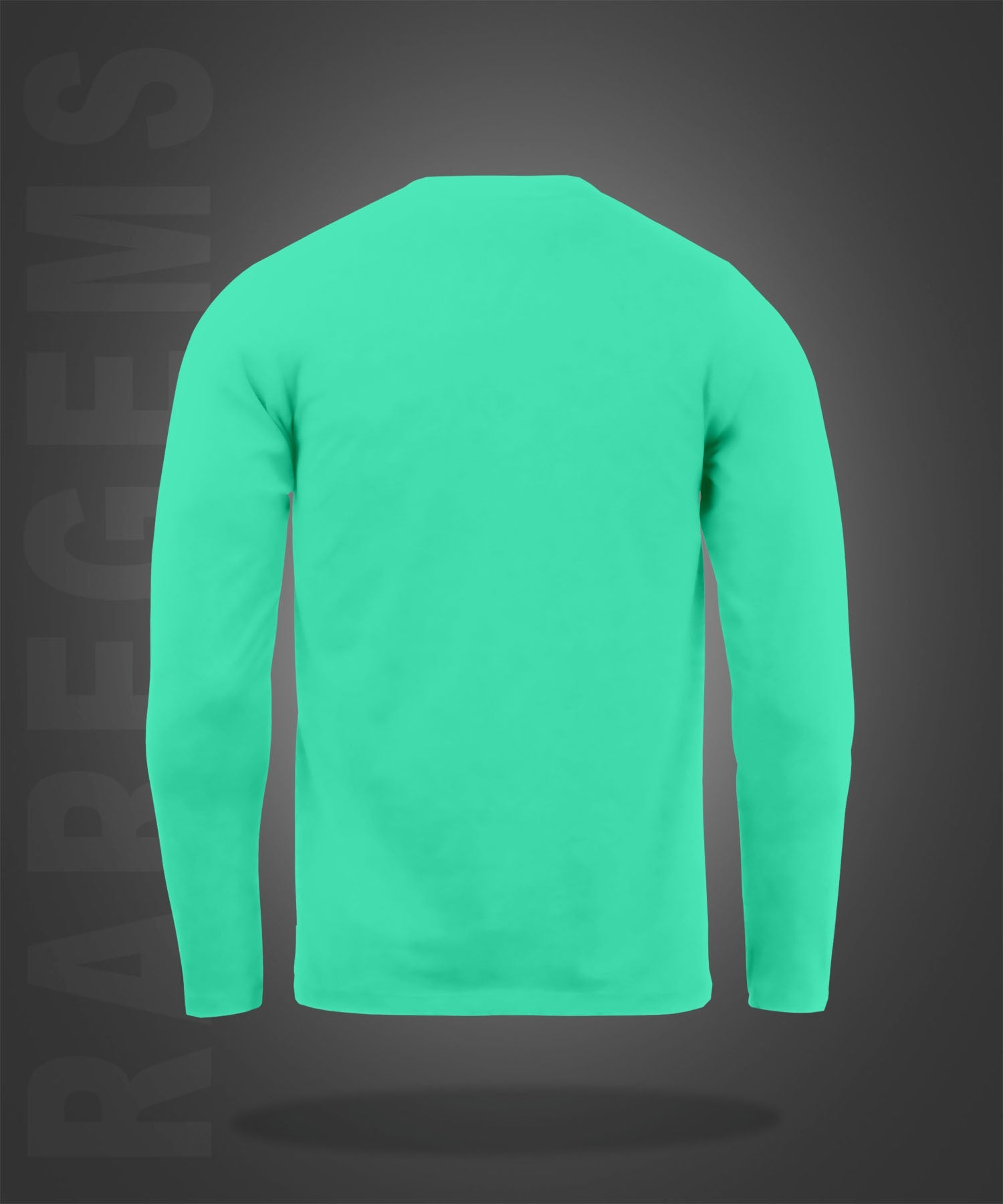 Mint Green Round Neck Cheering Teddy Printed Full Sleeves T-Shirt
