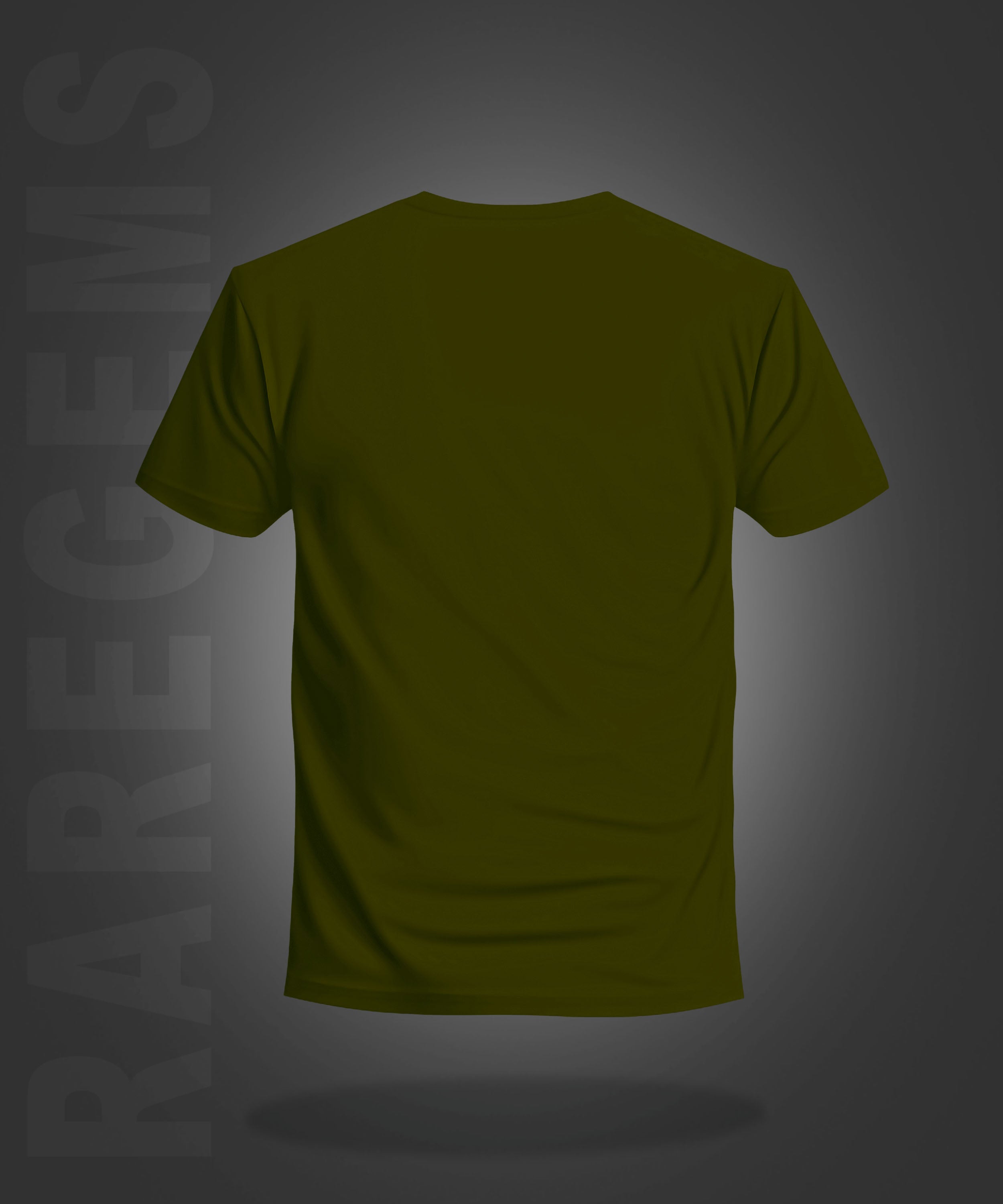 Olive Green Half Sleeves Round Neck Three Bikers Printed Regular T-Shirt