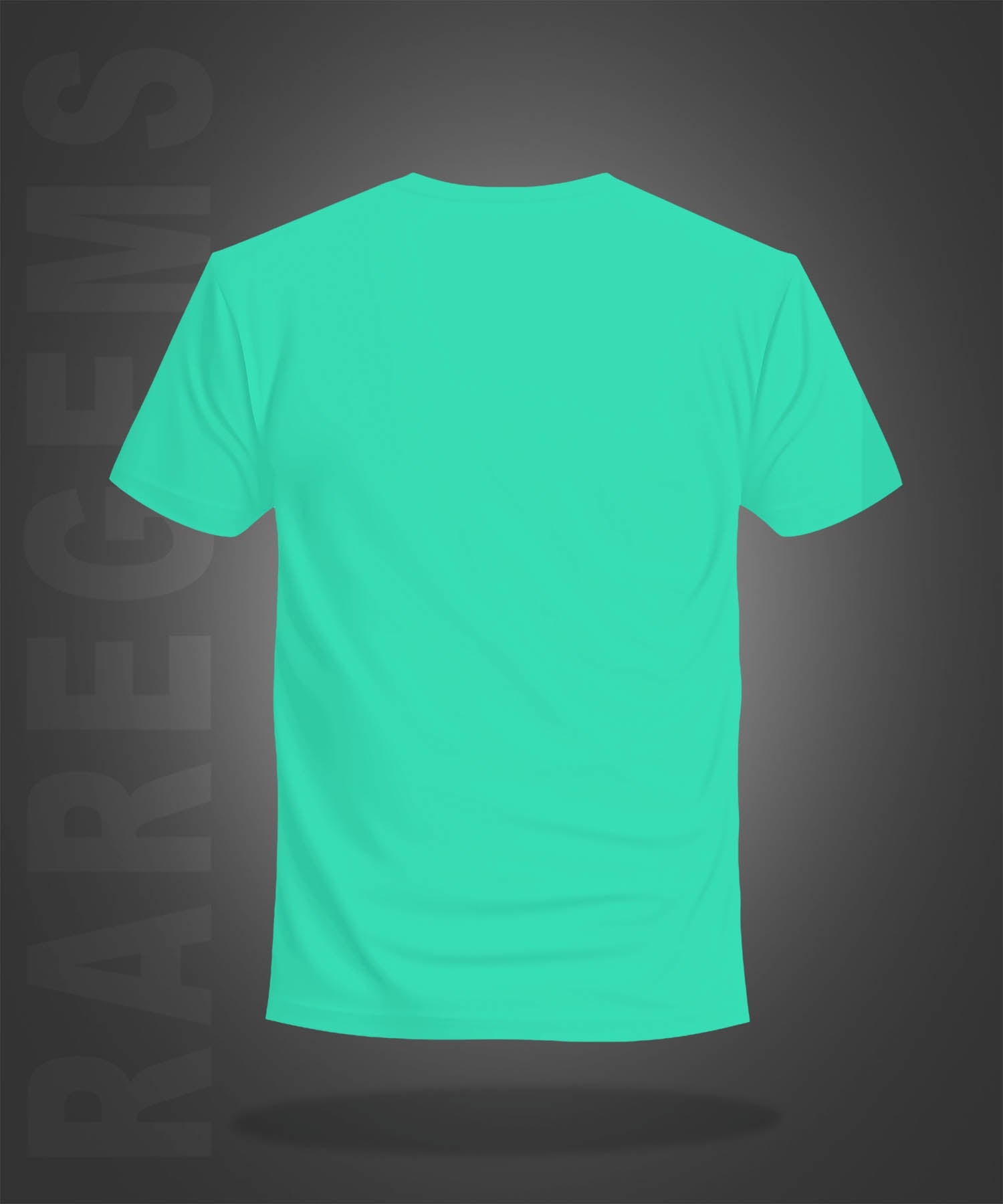 Mint Green Round Neck Half Sleeve Find Something Positive Printed Regular T-Shirt