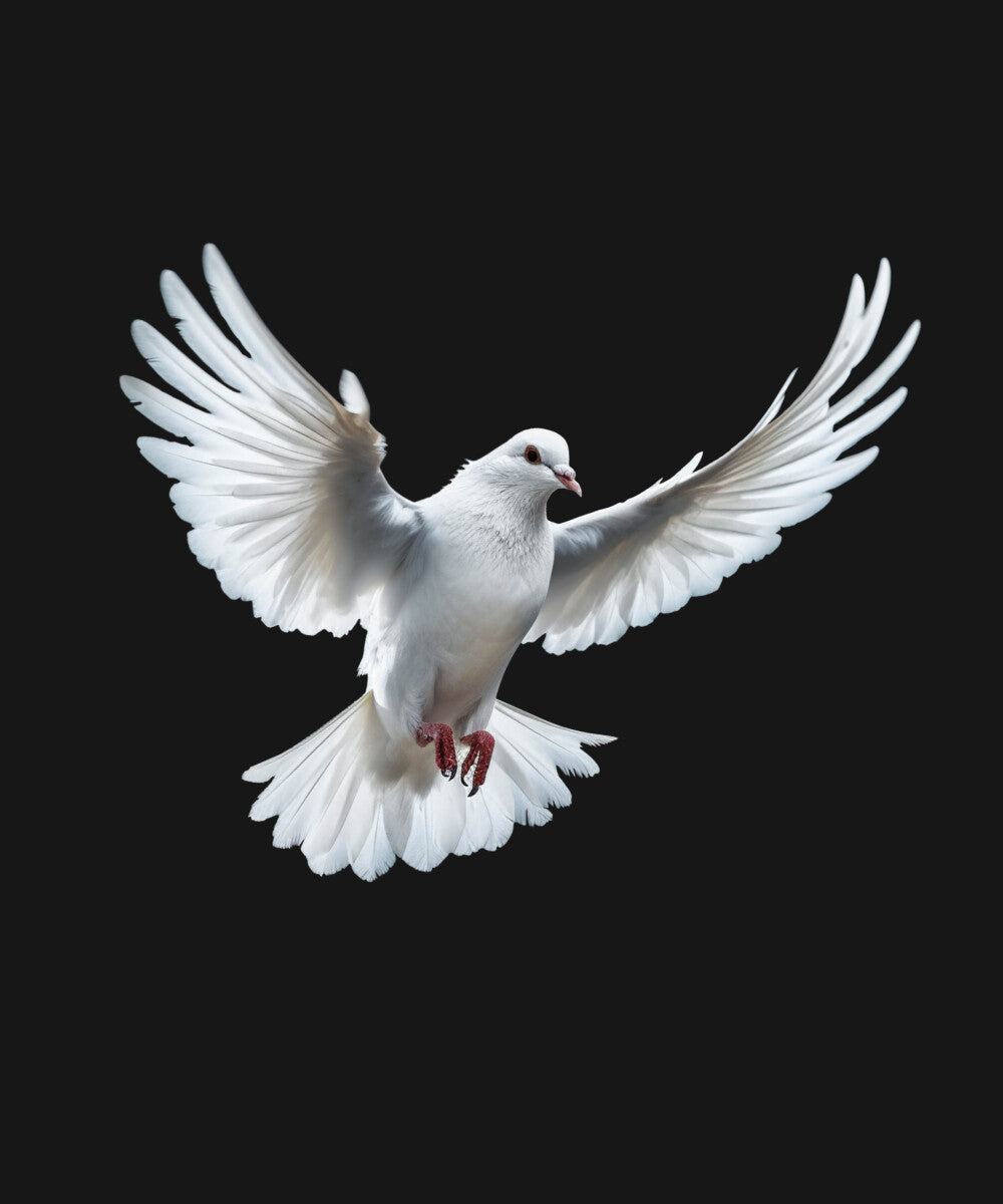 Black Half Sleeves Dove Love And Peace Printed Oversized T-Shirt