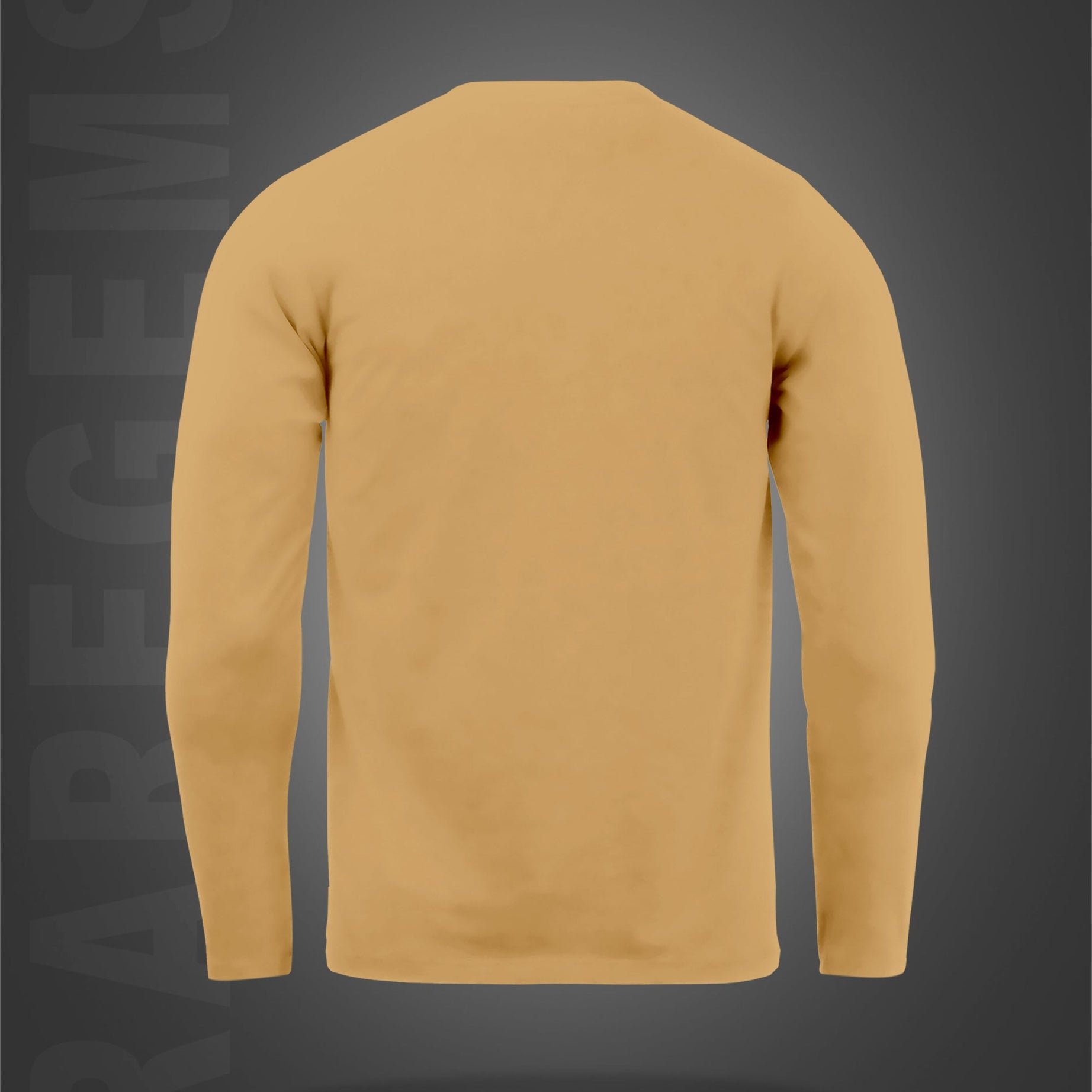 Beige Round Neck Never Give Up Printed Full Sleeves T-Shirt