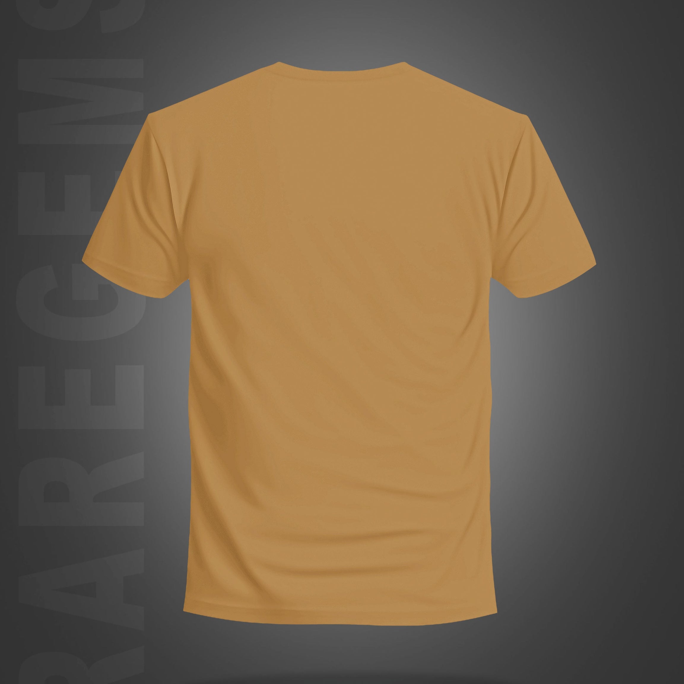 Beige Half Sleeves Round Neck Never Give Up Printed Regular T-Shirt