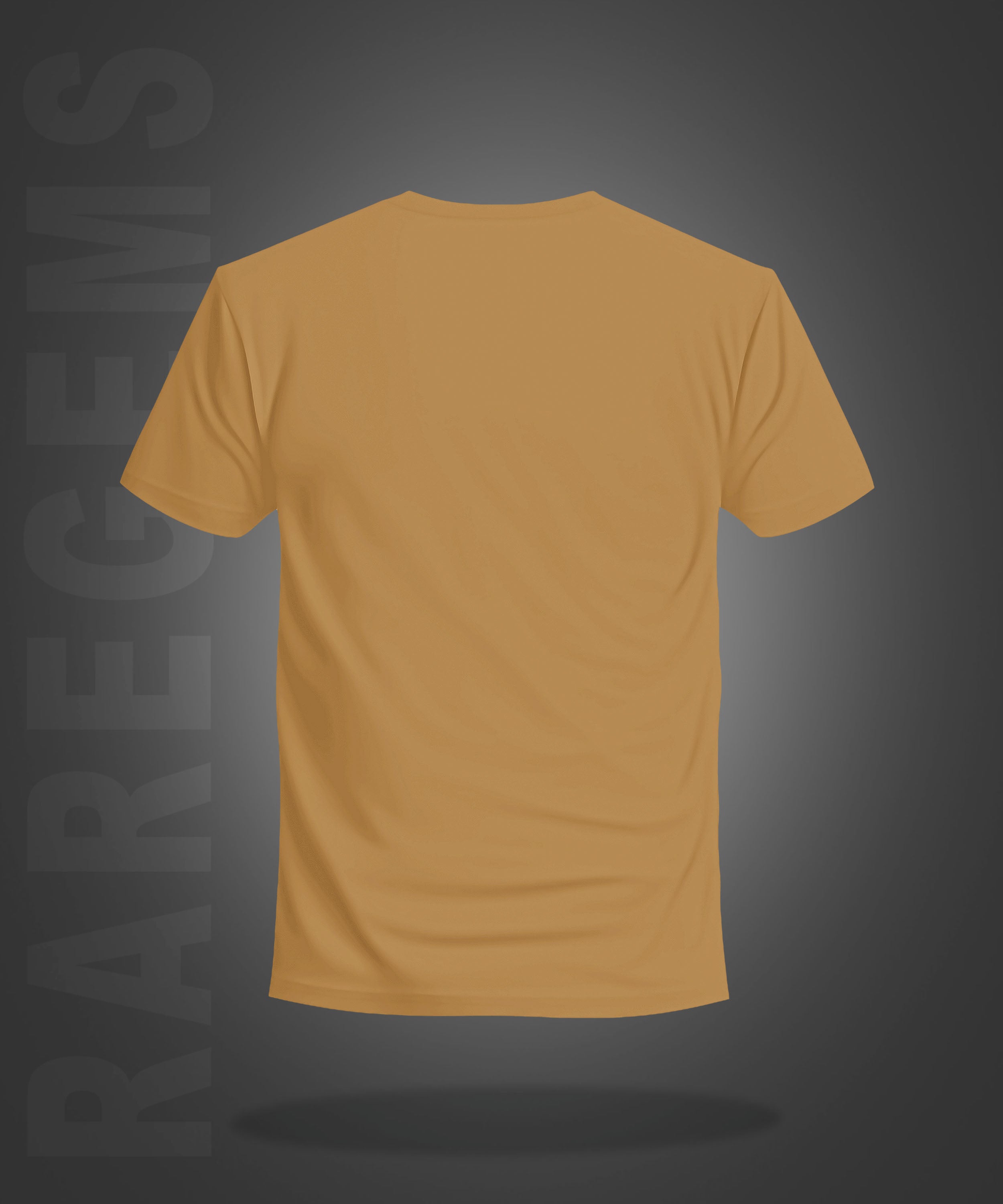 Beige Half Sleeves Round Neck Never Give Up Printed Regular T-Shirt