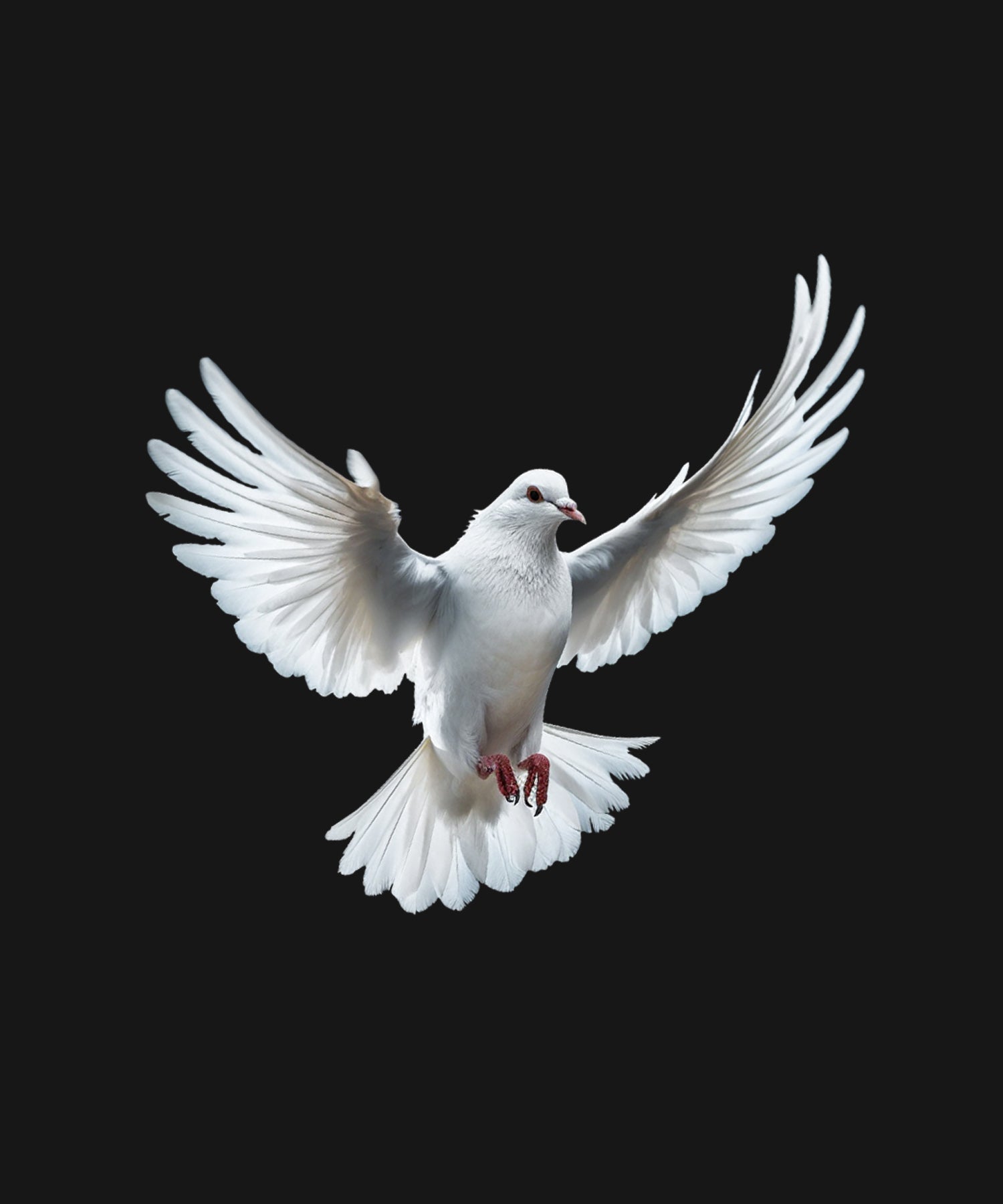 Black Half Sleeve Dove Love And Peace Printed Regular T-Shirt