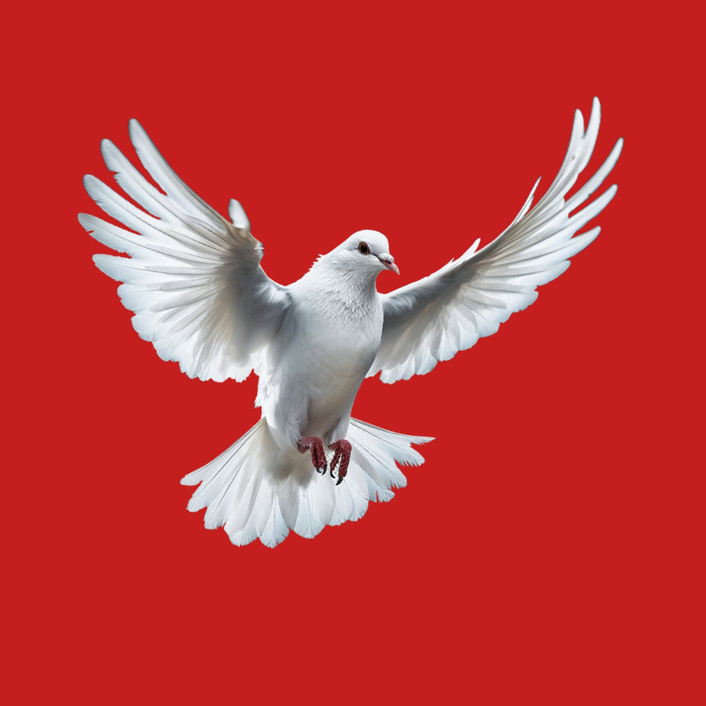 Red Half Sleeve Dove Love And Peace Printed Regular T-Shirt