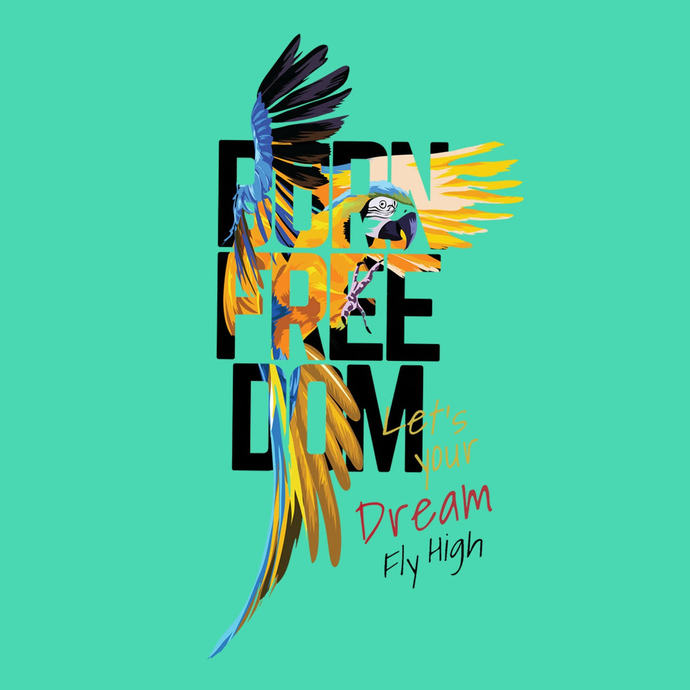 Mint Green Half Sleeve Freedom And Macaw Bird Printed Oversized T-Shirt