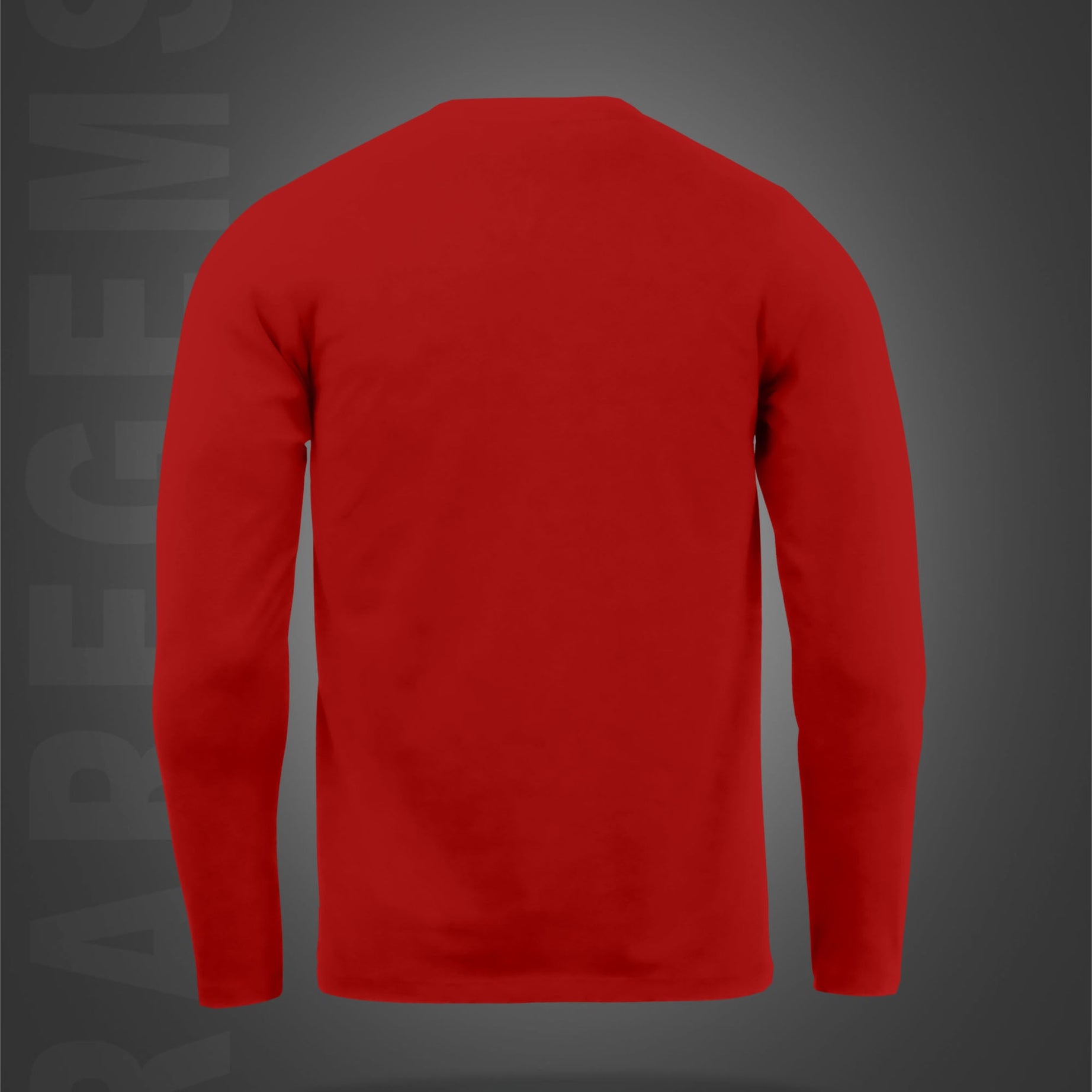 Red Round Neck Aesthetic Cool Teddy Printed Full Sleeves T-Shirt
