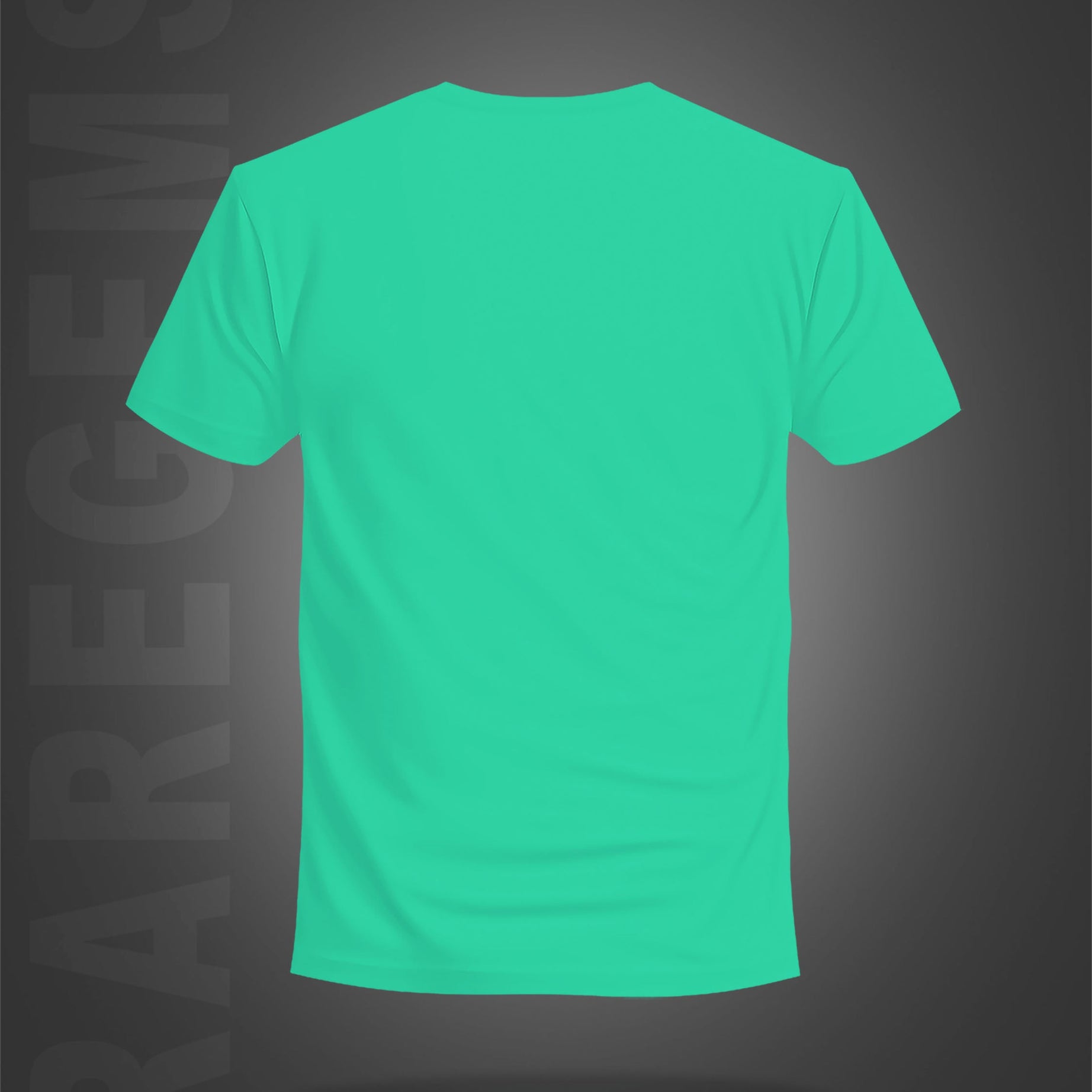 Mint Green Half Sleeve Round Neck Colorful Motivational Words Printed Regular T-Shirt