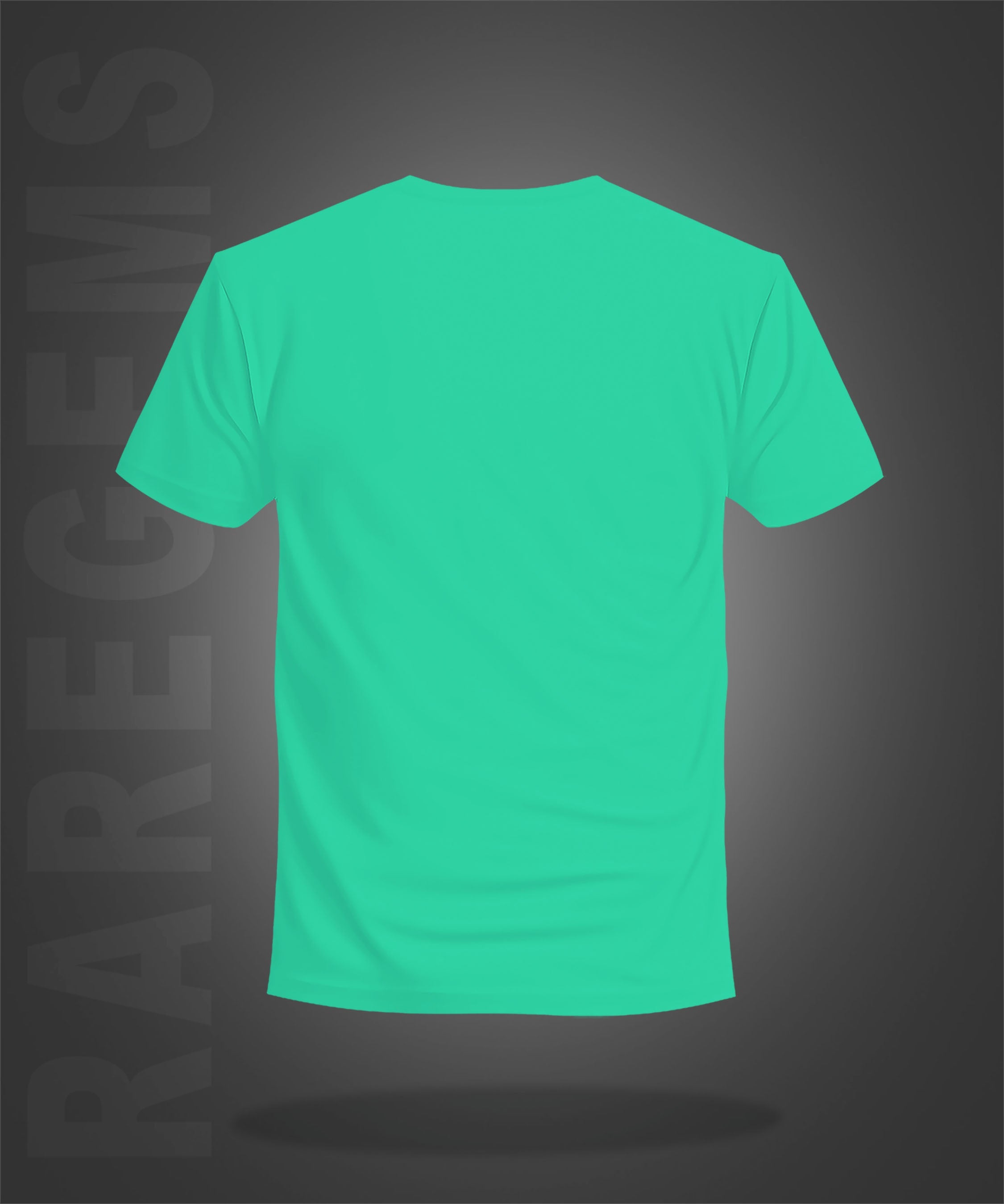 Mint Green Half Sleeve Round Neck Colorful Motivational Words Printed Regular T-Shirt