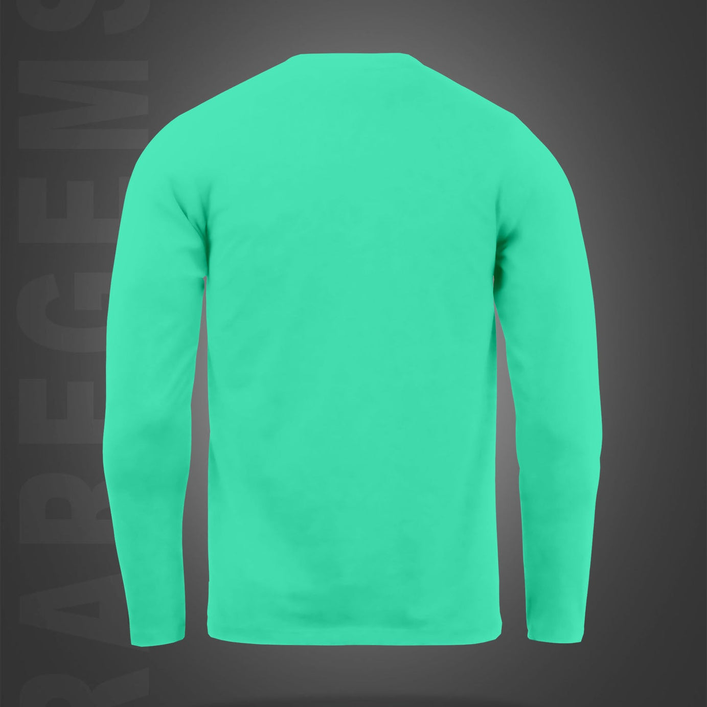 Mint Green Round Neck Cheering Teddy Printed Full Sleeves T-Shirt