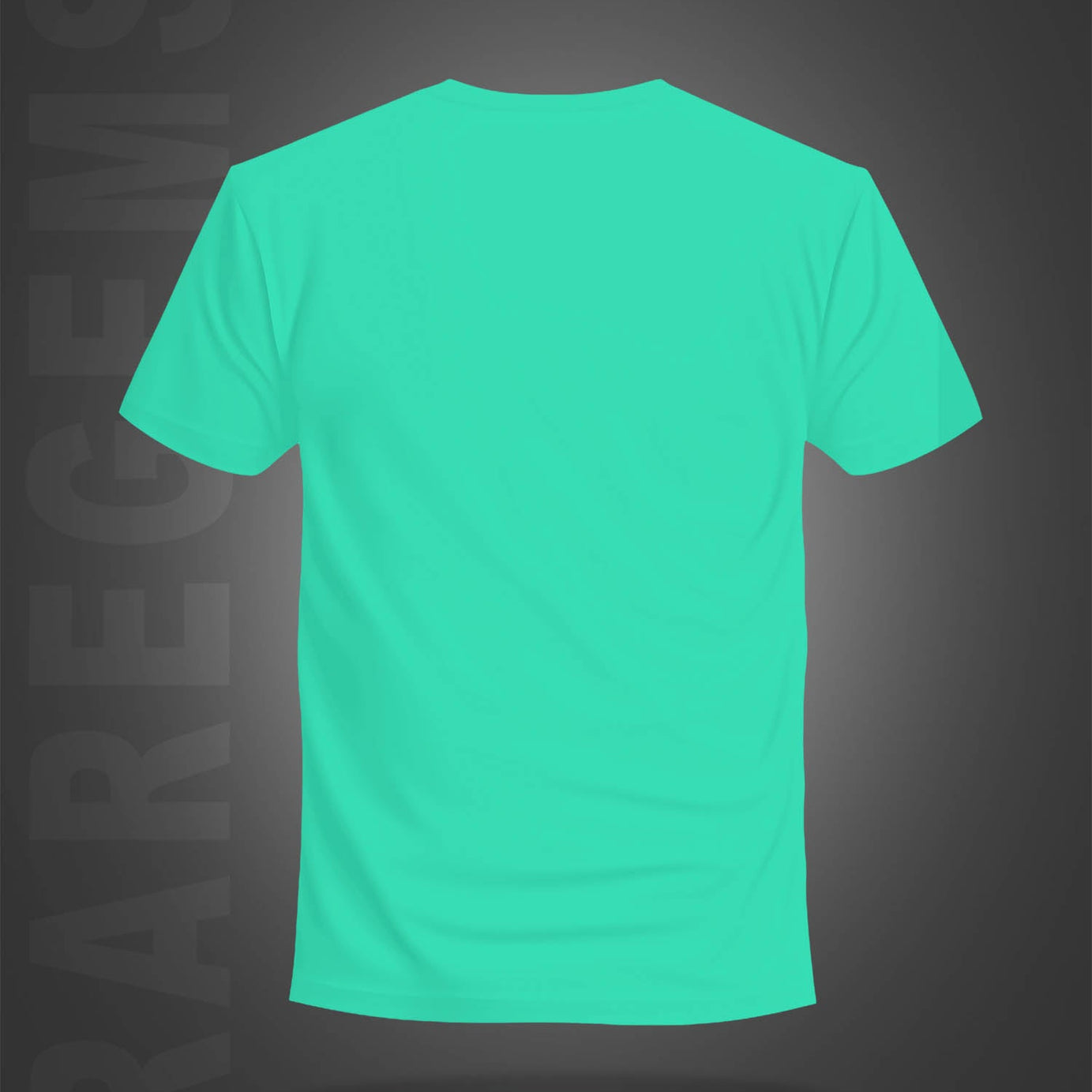 Mint Green Round Neck Half Sleeve Find Something Positive Printed Regular T-Shirt