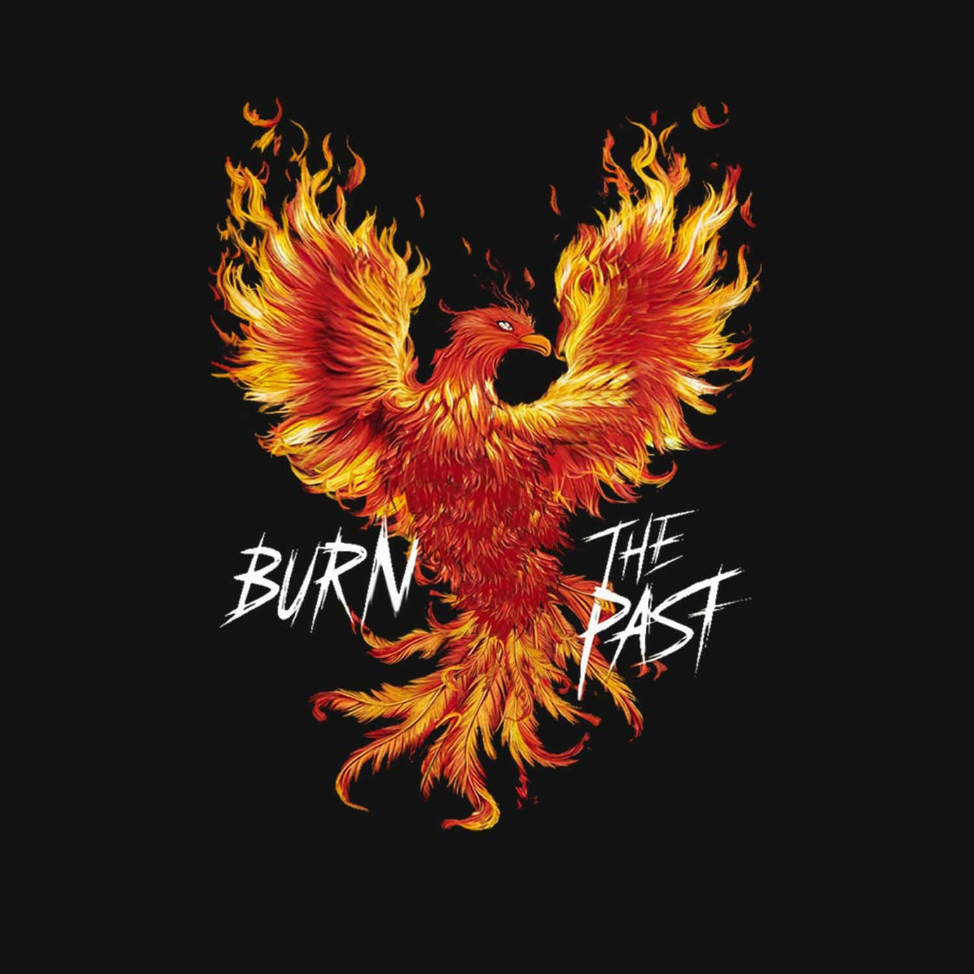 Black Half Sleeve Round Neck Burn The Past Phoenix Printed Oversized T-Shirt