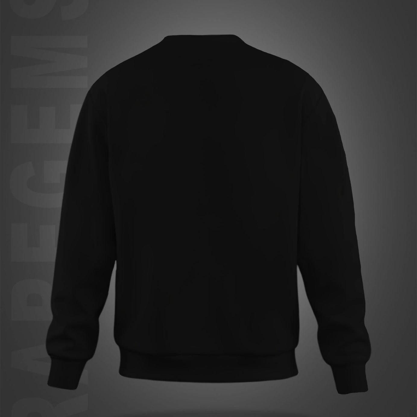 Black Round Neck Burn The Past Phoenix Printed Sweatshirt