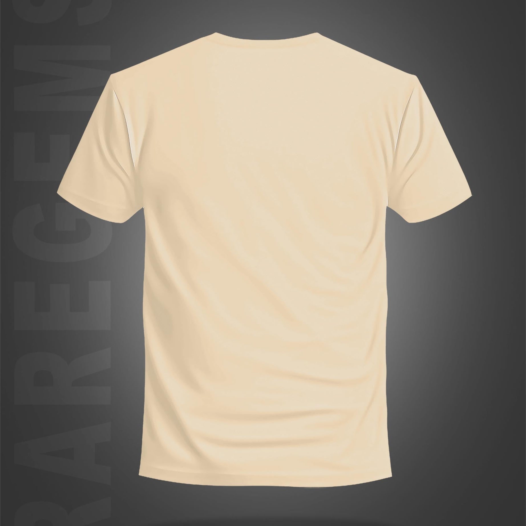 Beige Half Sleeve Round Neck Panda In Sunset Printed Regular T-Shirt