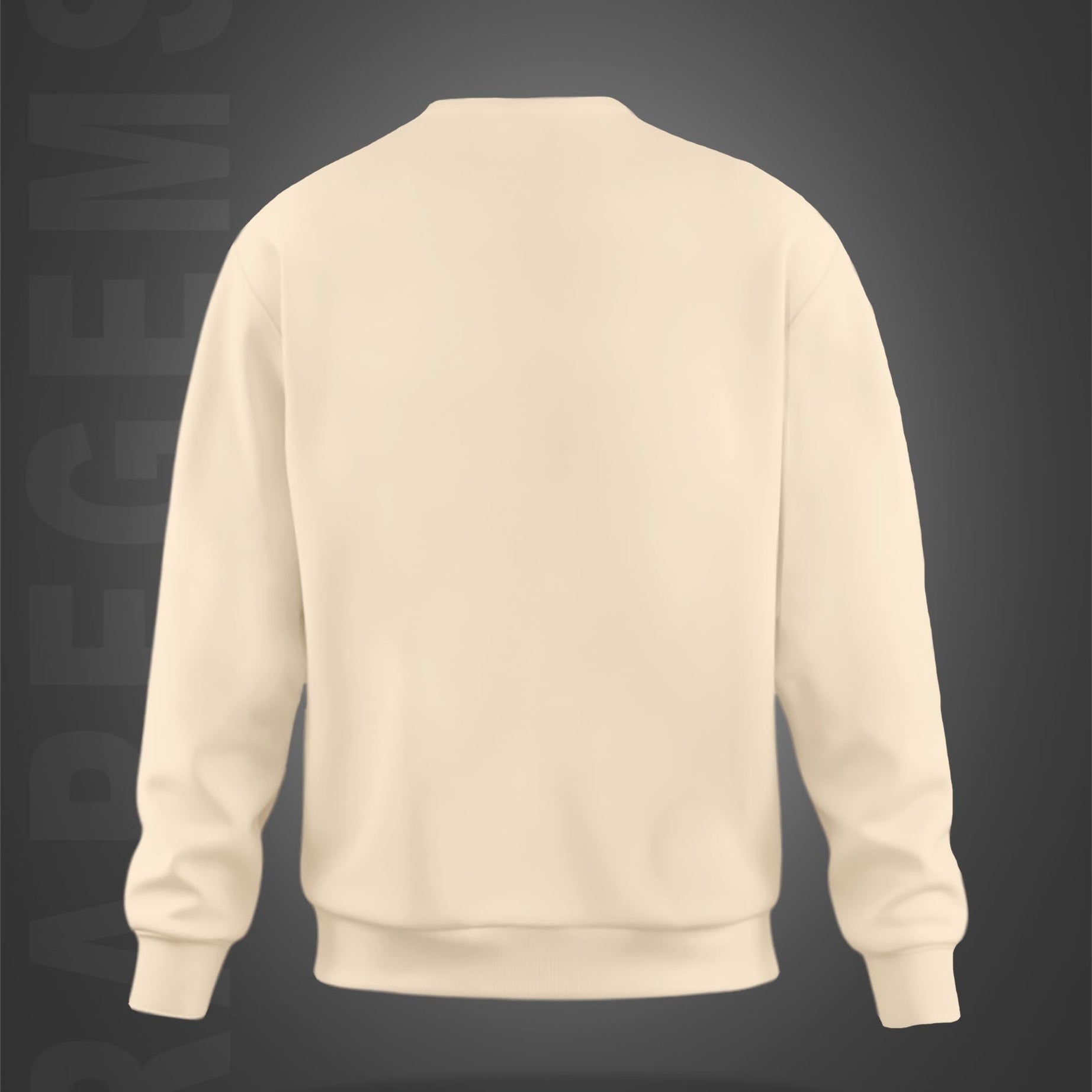 Beige Round Neck Panda In Sunset Printed Sweatshirt