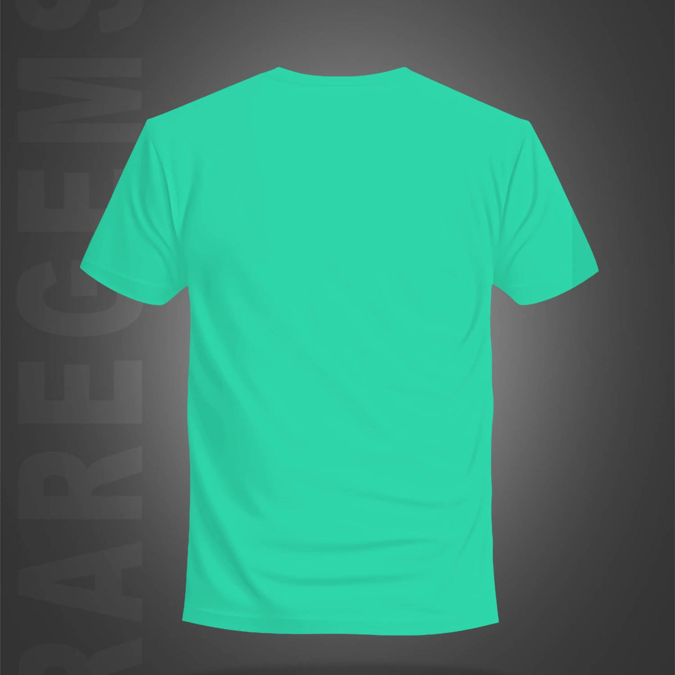 Mint Green Half Sleeve Round Neck Colorful Tribal Mask Printed Regular T-Shirt