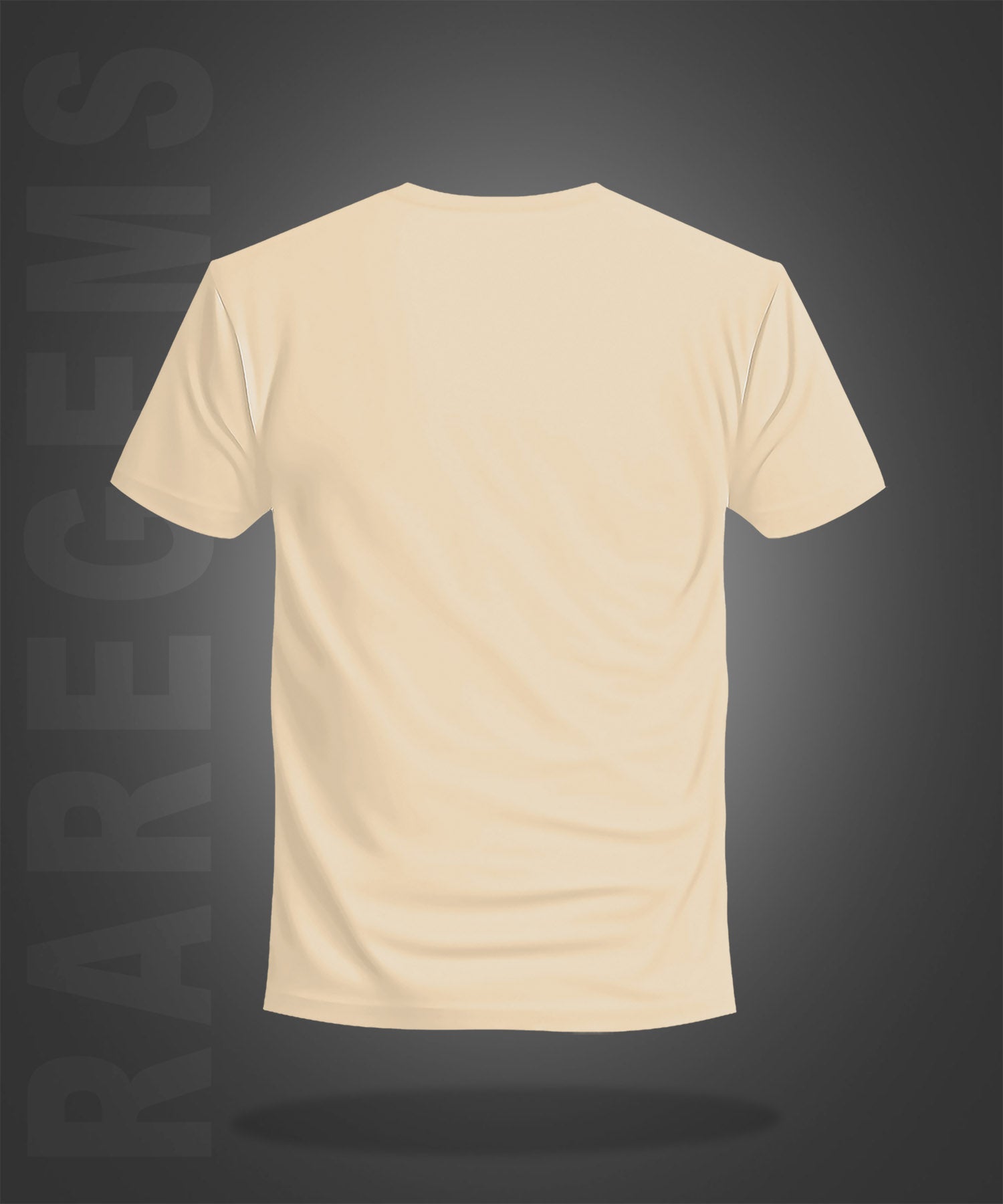 Beige Half Sleeve Round Neck Capture The Good Time Printed Regular T-Shirt