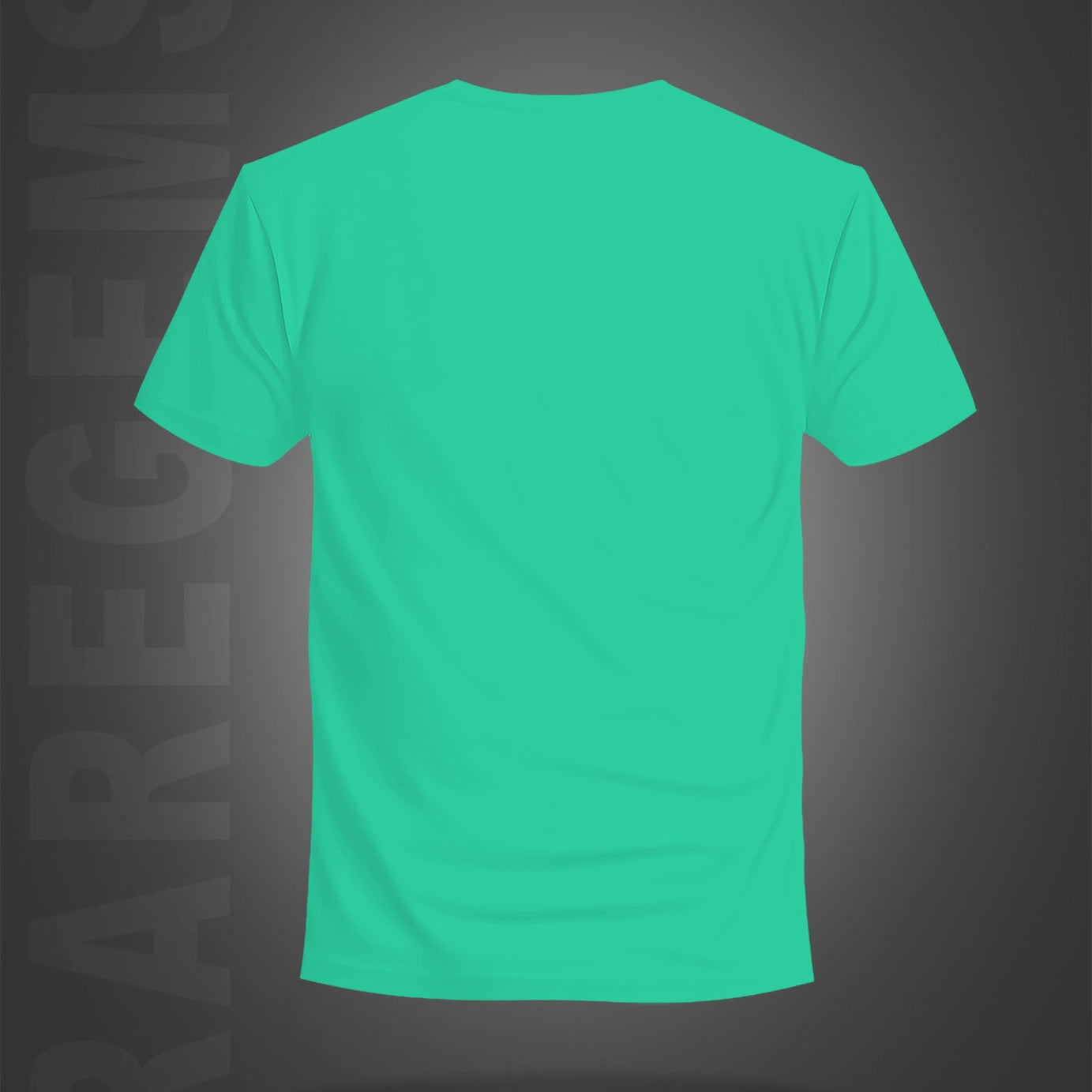 Mint Green Half Sleeve Round Neck Capture The Good Time Printed Regular T-Shirt