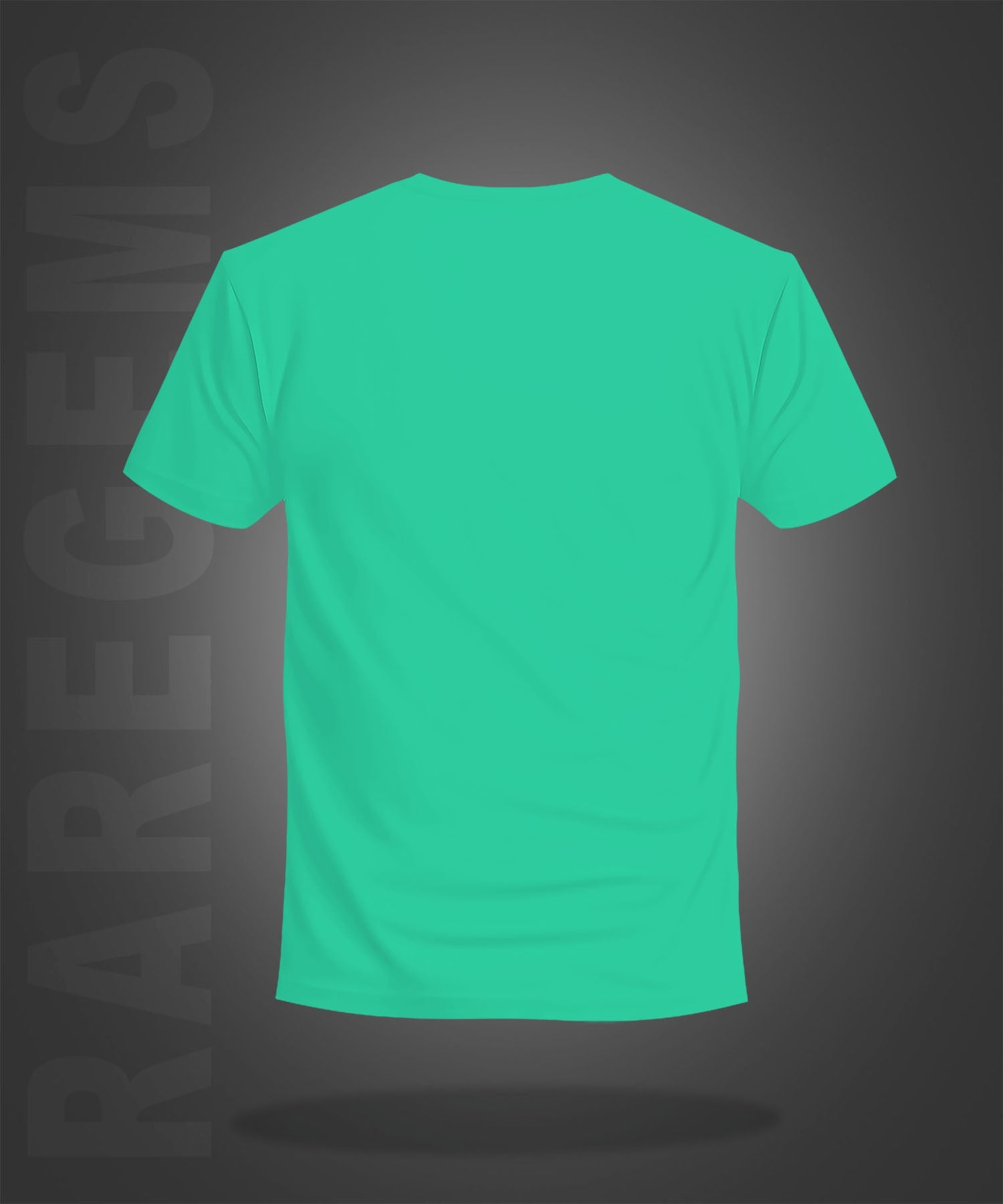 Mint Green Half Sleeve Round Neck Capture The Good Time Printed Regular T-Shirt