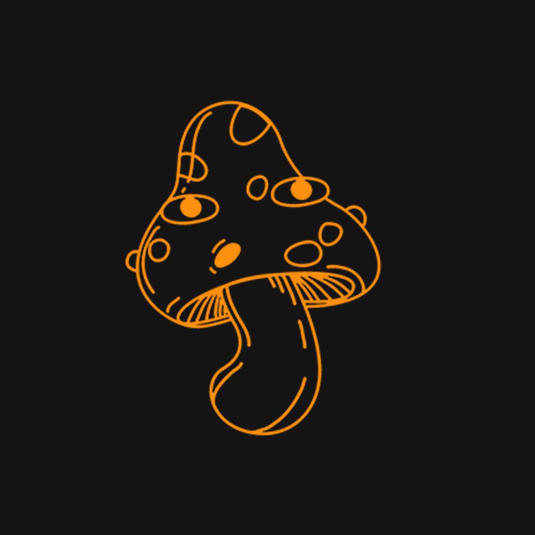 Black Half Sleeves Round Neck Spooky Season Printed Regular T-Shirt