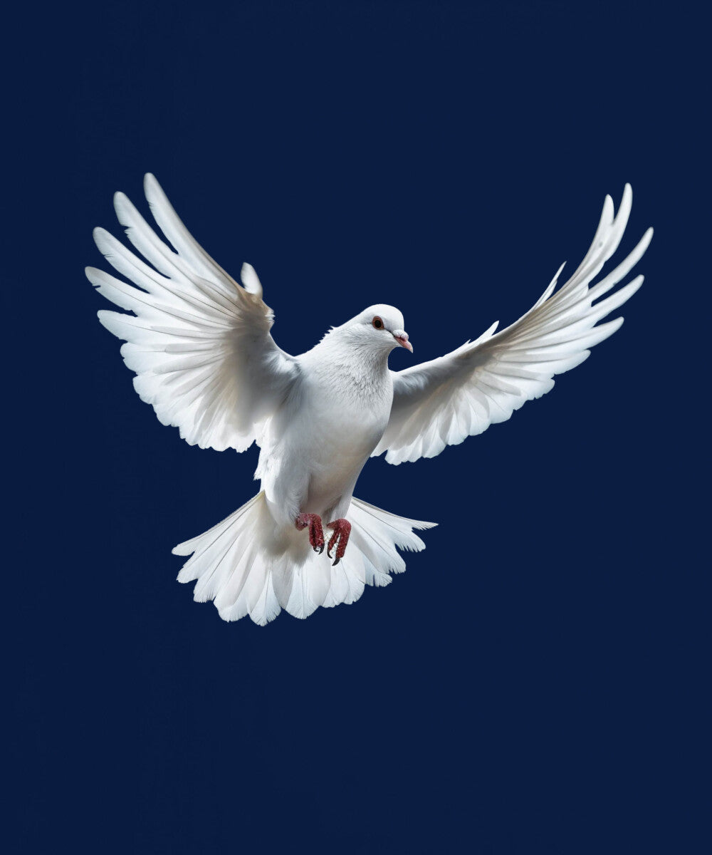 Navy Blue Half Sleeve Dove Love And Peace Printed Regular T-Shirt