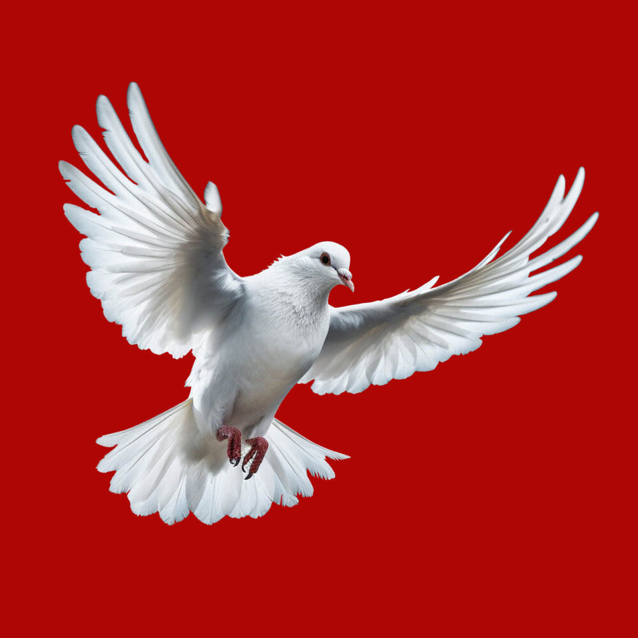 Red Half Sleeves Dove Love And Peace Printed Oversized T-Shirt