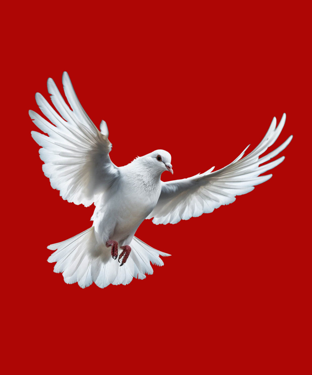 Red Half Sleeves Dove Love And Peace Printed Oversized T-Shirt
